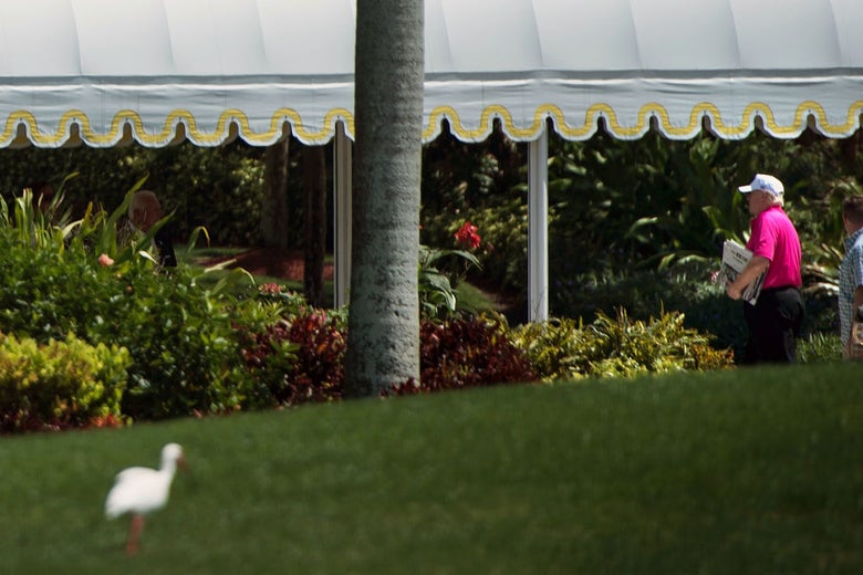 Trump returning from a golf club trip in Palm Beach on Sunday.